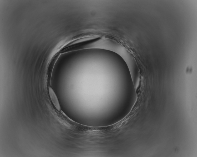 X0000090760150200708031638