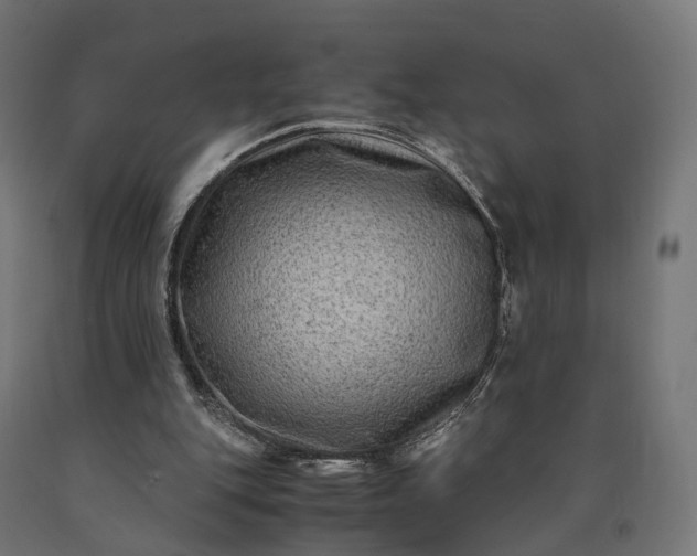 X0000090760151200708031638