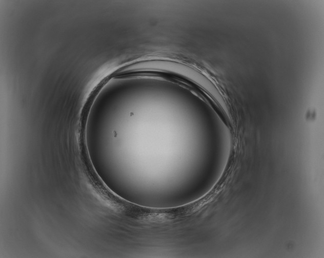 X0000090760152200708031638