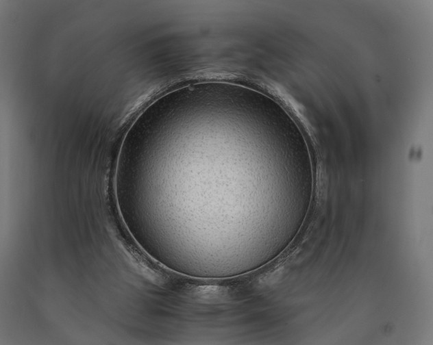 X0000090760153200708031638