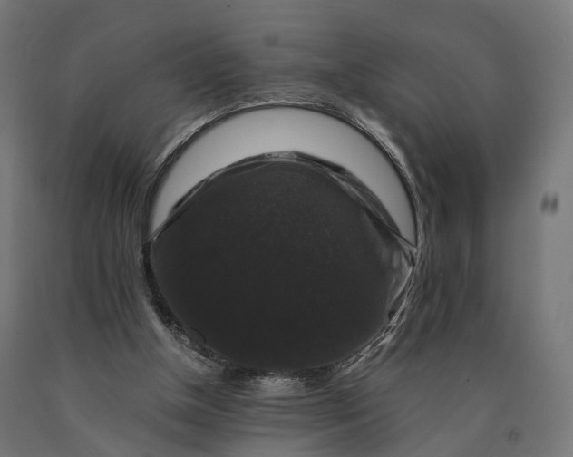 X0000090760154200708031638