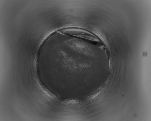 X0000090760156200708031638