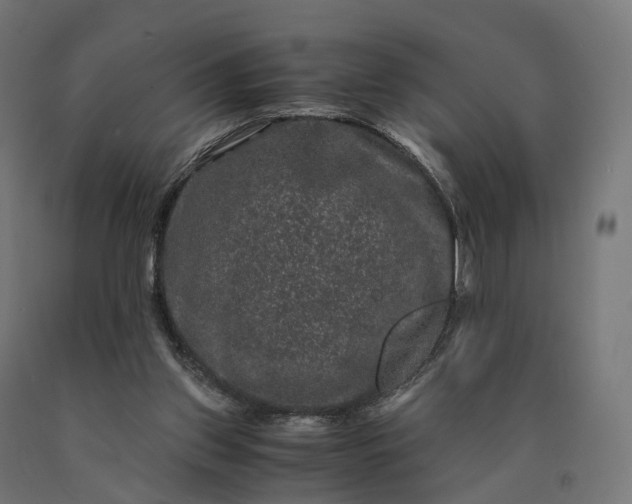 X0000090760157200708031638