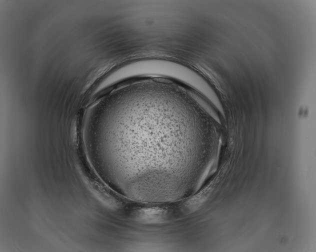 X0000090760158200708031638