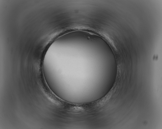 X0000090760159200708031638