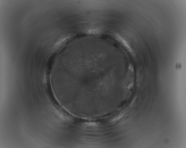 X0000090760161200708031638