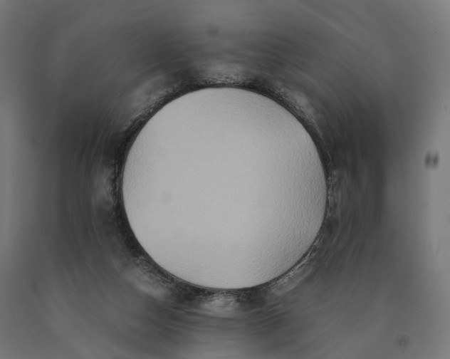 X0000090760162200708031638