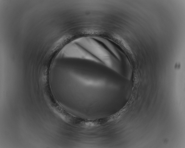 X0000090760163200708031638