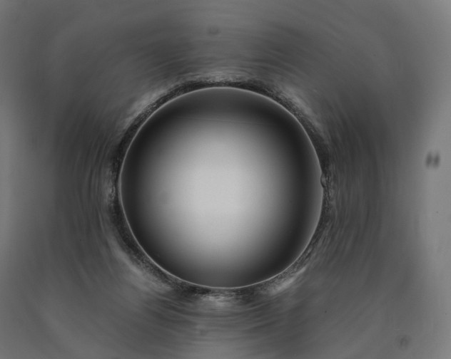 X0000090760164200708031638