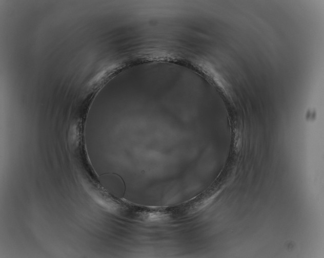 X0000090760165200708031638