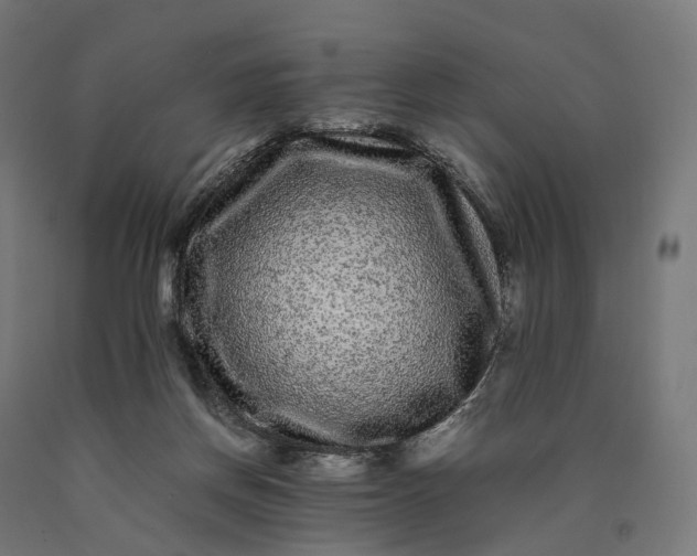 X0000090760166200708031638