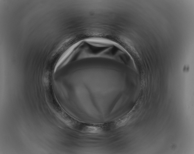 X0000090760167200708031638