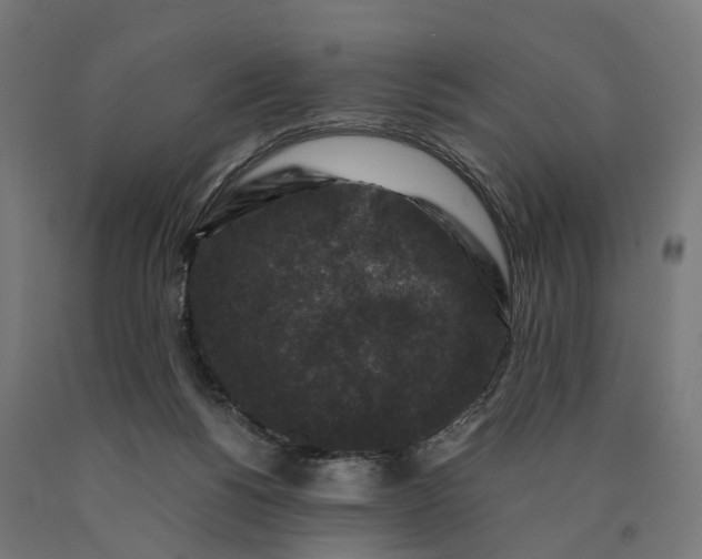 X0000090760168200708031638