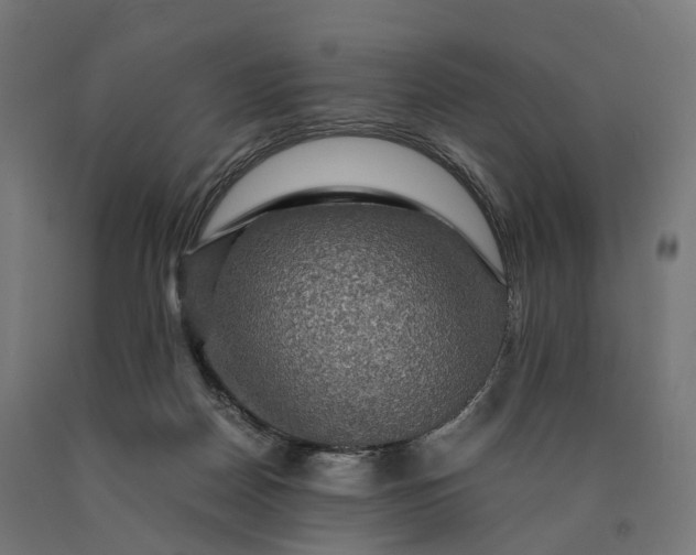 X0000090760170200708031638