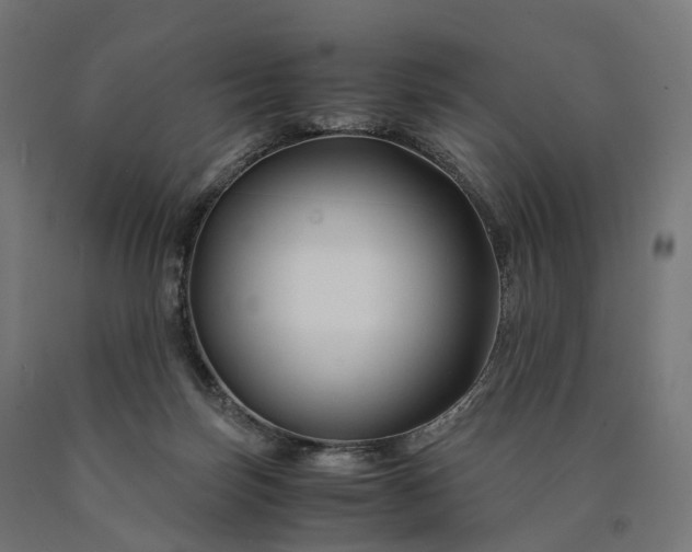 X0000090760171200708031638