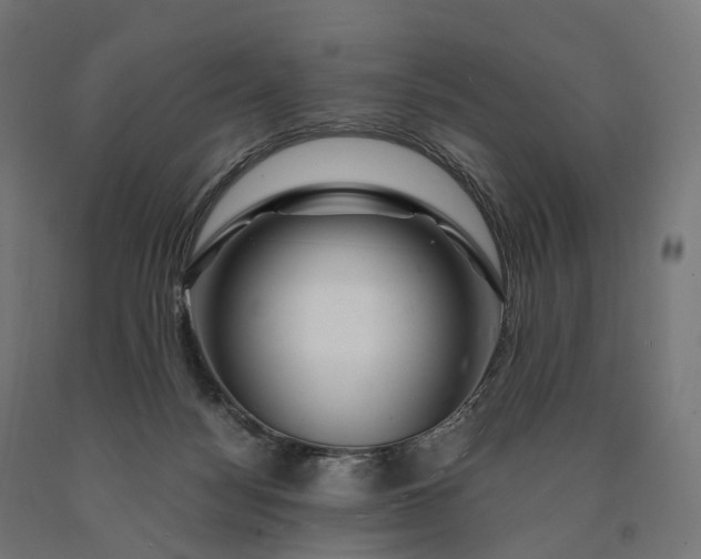 X0000090760172200708031638