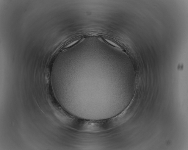 X0000090760174200708031638