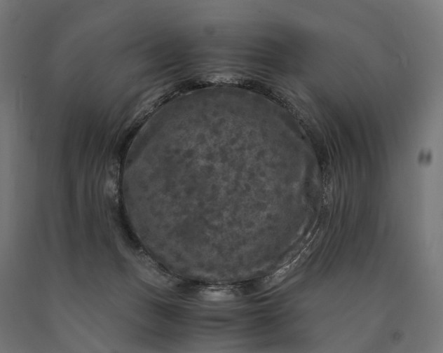 X0000090760175200708031638