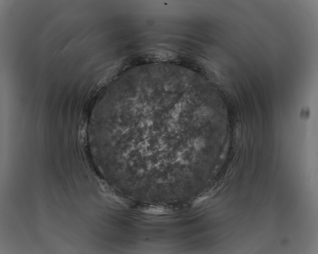 X0000090760177200708031638