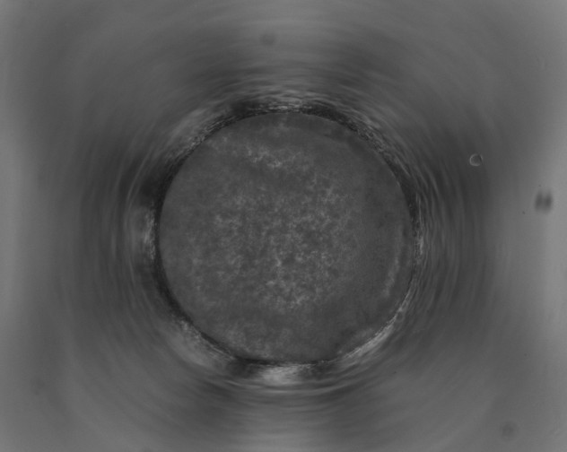 X0000090760178200708031638