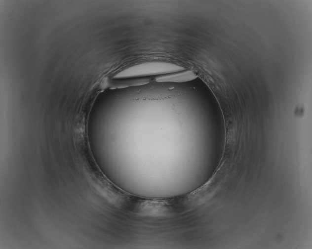 X0000090760179200708031638