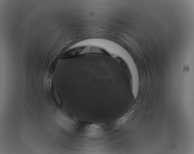 X0000090760180200708031638