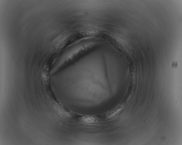 X0000090760181200708031638