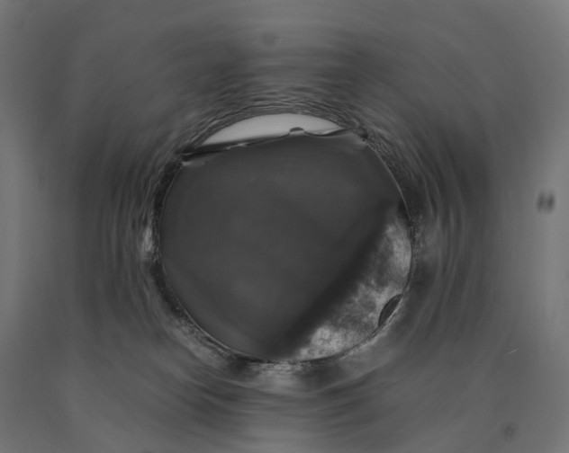 X0000090760182200708031638