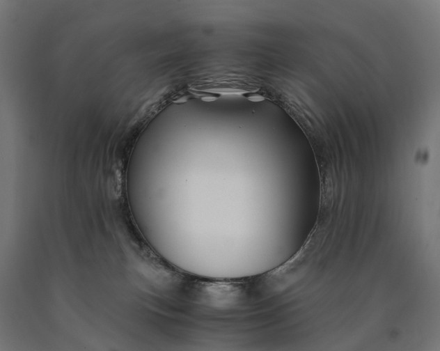 X0000090760183200708031638