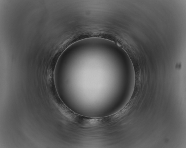 X0000090760184200708031638