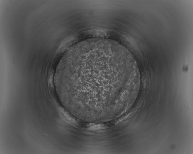 X0000090760185200708031638