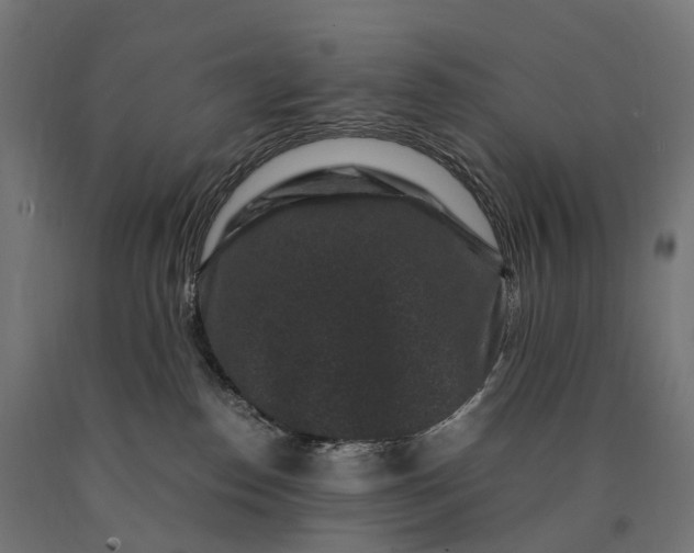 X0000090760186200708031638