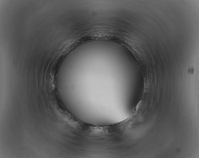 X0000090760187200708031638