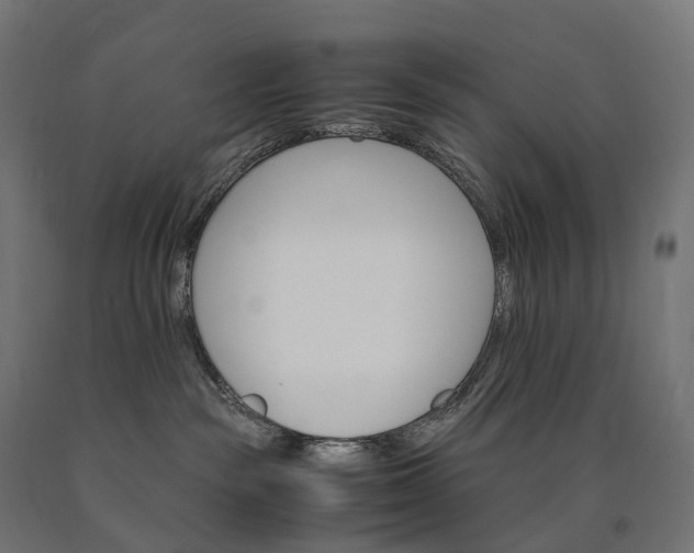 X0000090760189200708031638