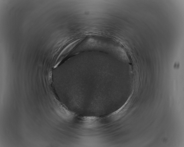 X0000090760192200708031638