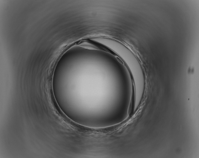 X0000090760193200708031638