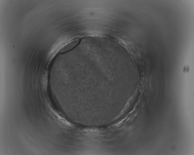 X0000090760194200708031638