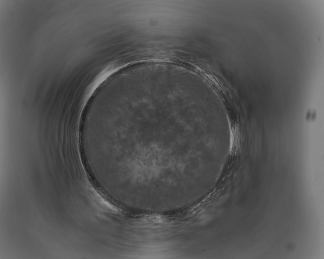 X0000090760195200708031638