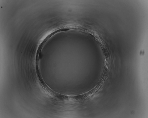 X0000090760196200708031638