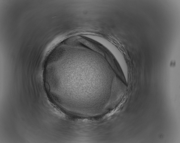 X0000090760197200708031637