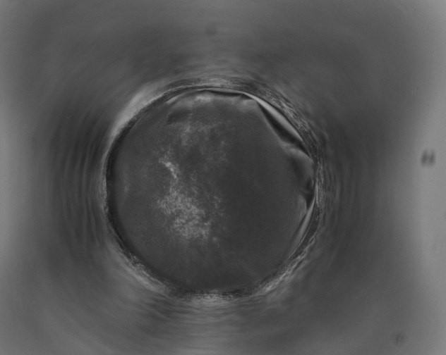 X0000090760198200708031637