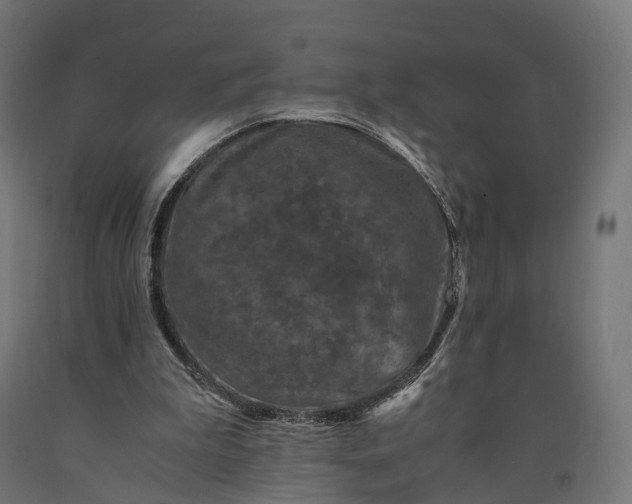 X0000090760199200708031637