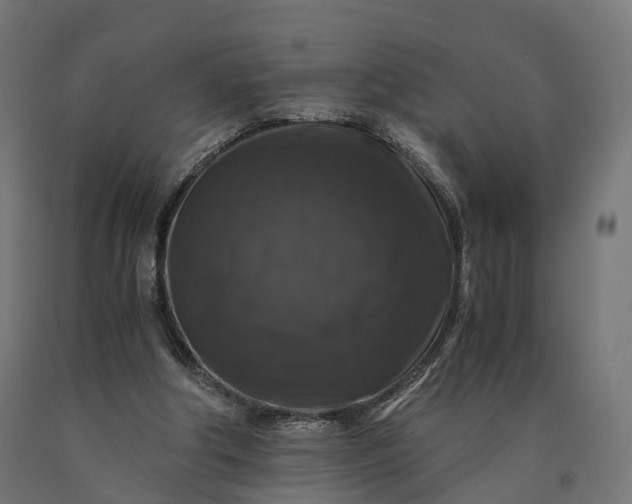 X0000090760202200708031637