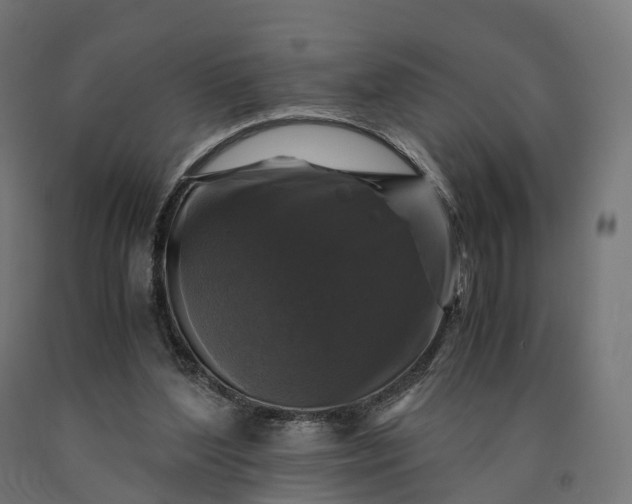 X0000090760204200708031637