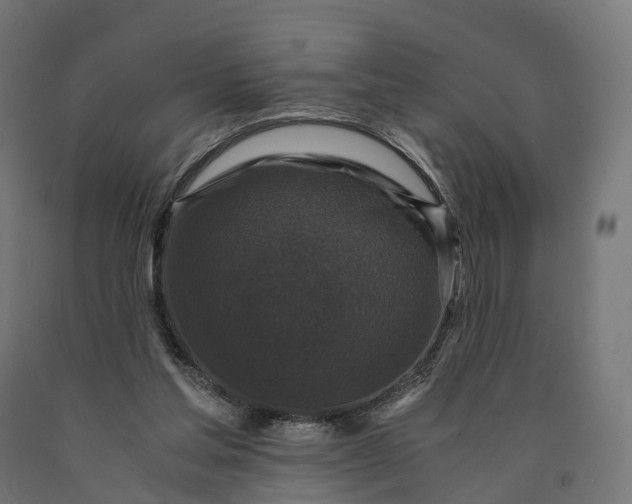 X0000090760205200708031637