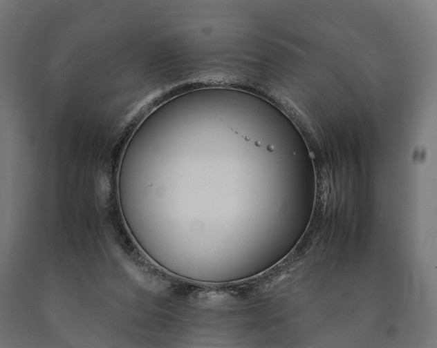 X0000090760208200708031637