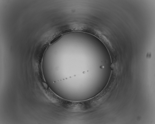 X0000090760209200708031637