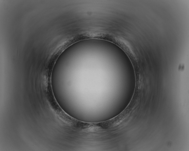 X0000090760210200708031637