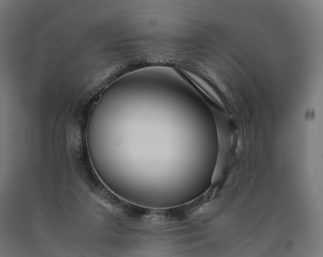 X0000090760211200708031637