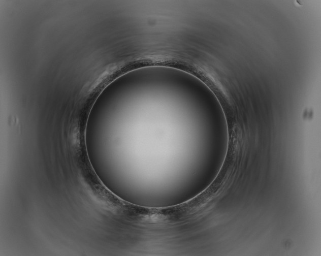 X0000090760212200708031637